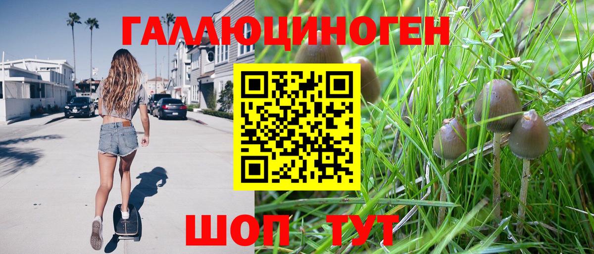 Галлюциногенные грибы прущие грибы  наркота  Удомля  Вход с VPN  Псилоцибиновые грибы GOLDEN TEACHER 